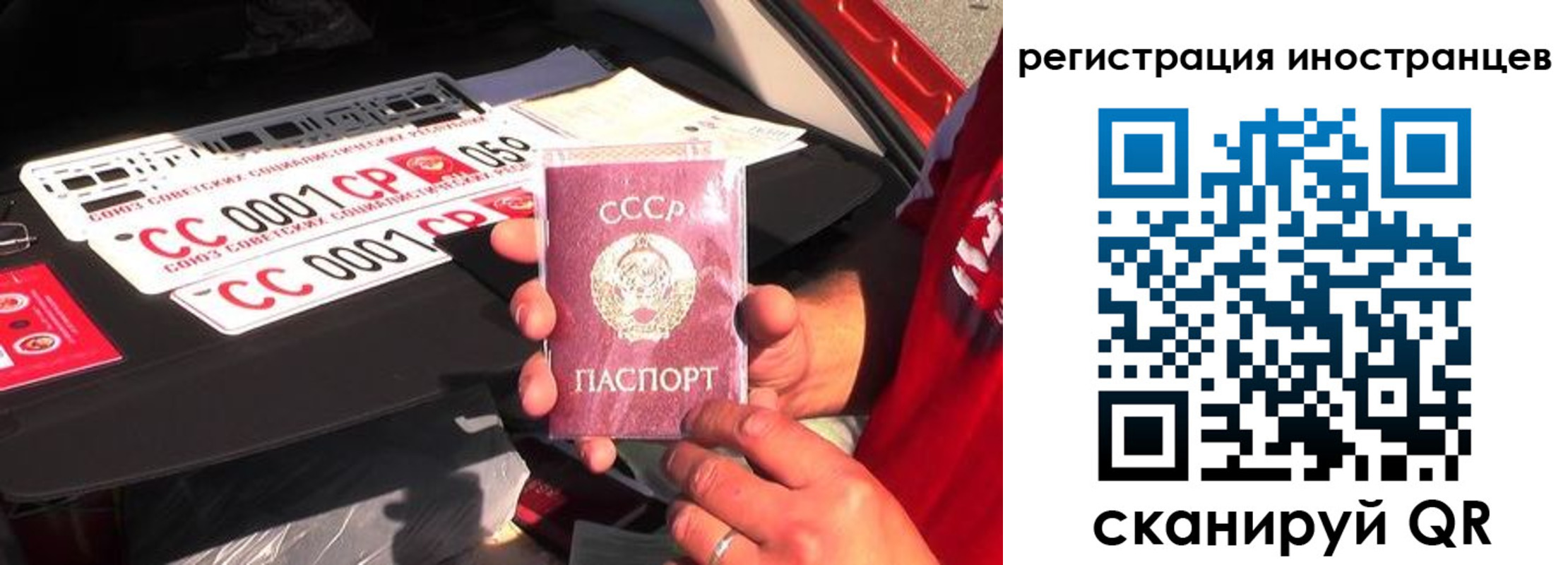 прописка гарантия в Малой Вишере
